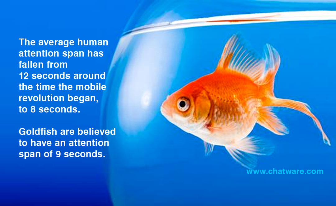 human attention span vs goldfish 